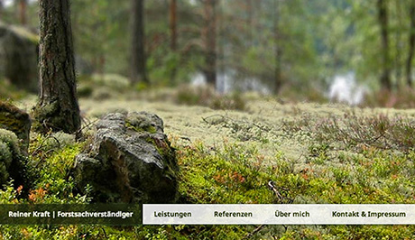 Website für einen Forstsachverständigen