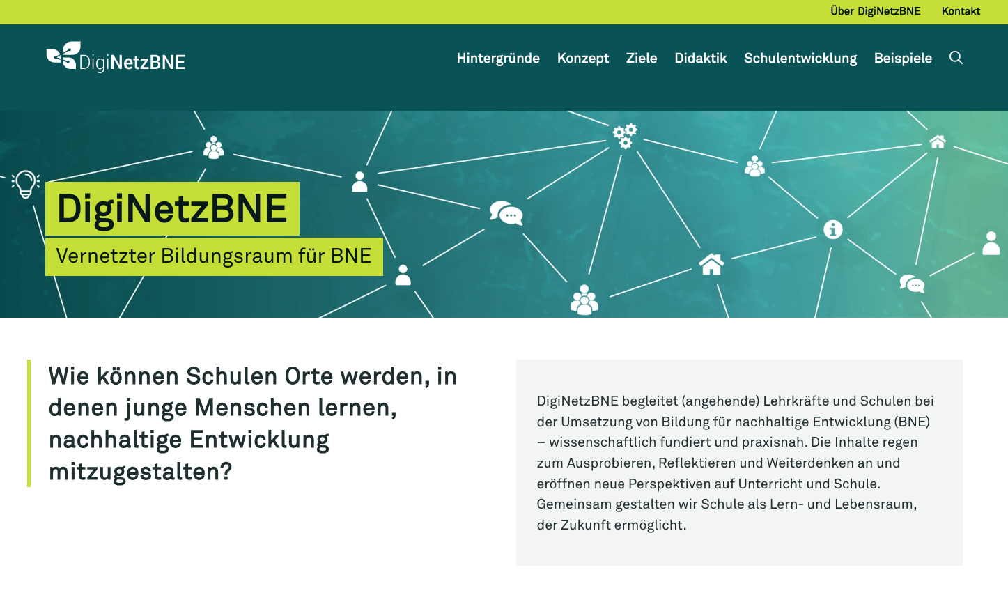 Website für das Goethe-Institut