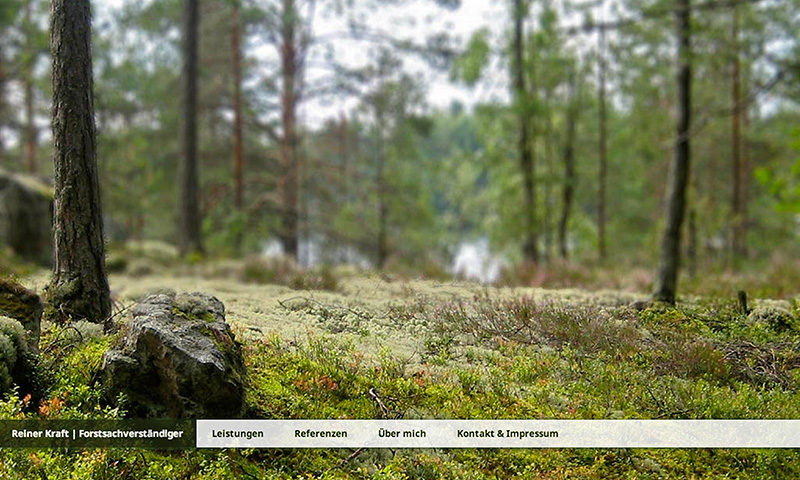 Website für einen Forstsachverständigen
